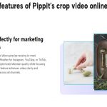 Aspect Ratios for Social Media: How to Crop Videos with Pippit AI