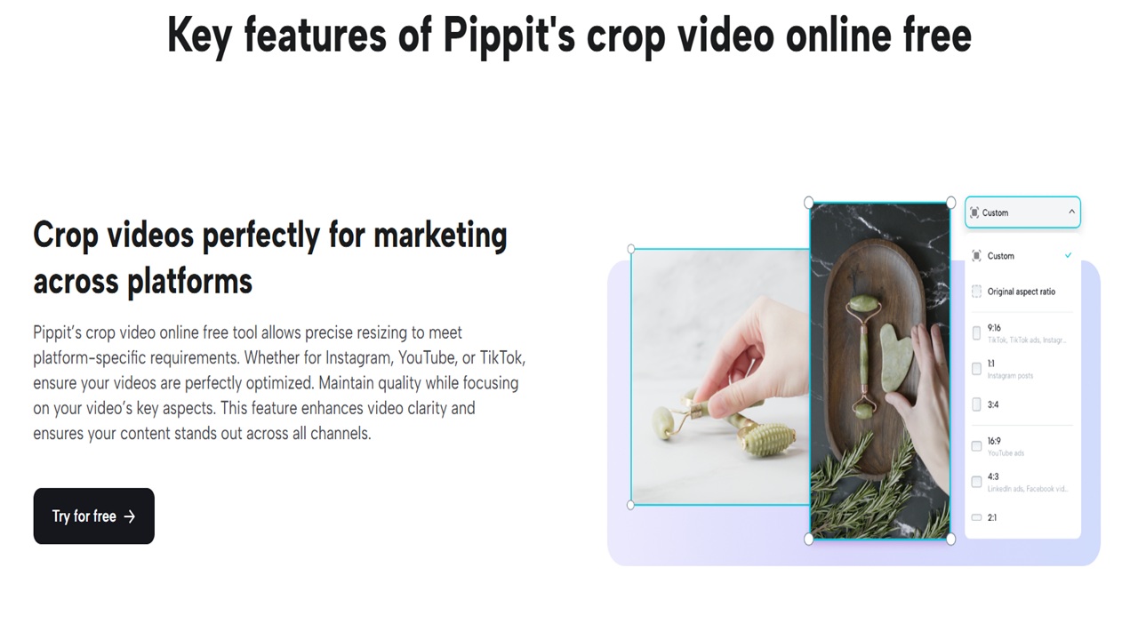 Aspect Ratios for Social Media: How to Crop Videos with Pippit AI